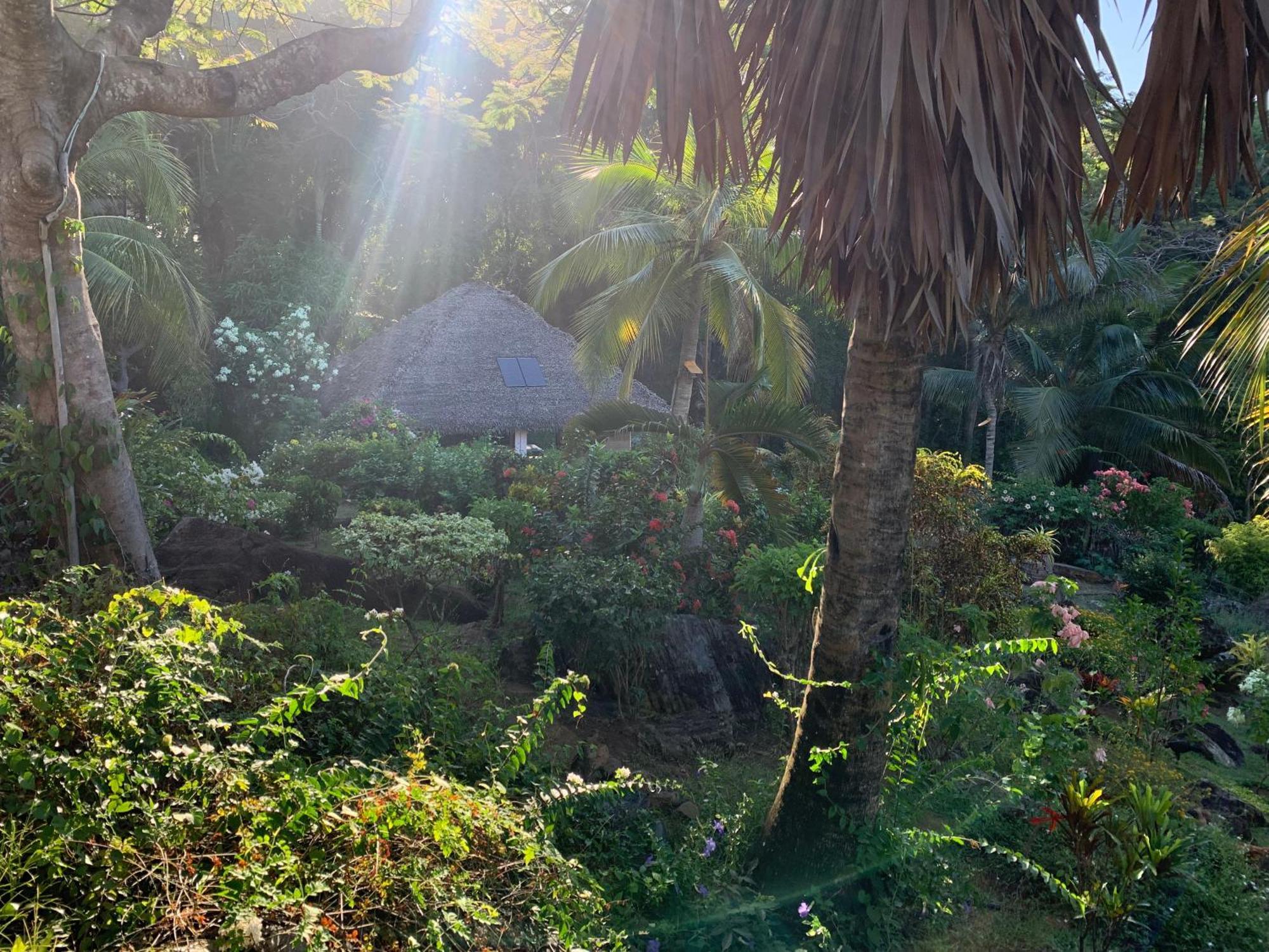 Les Jardins D'Ankify Bed and Breakfast Andimaka Exteriör bild