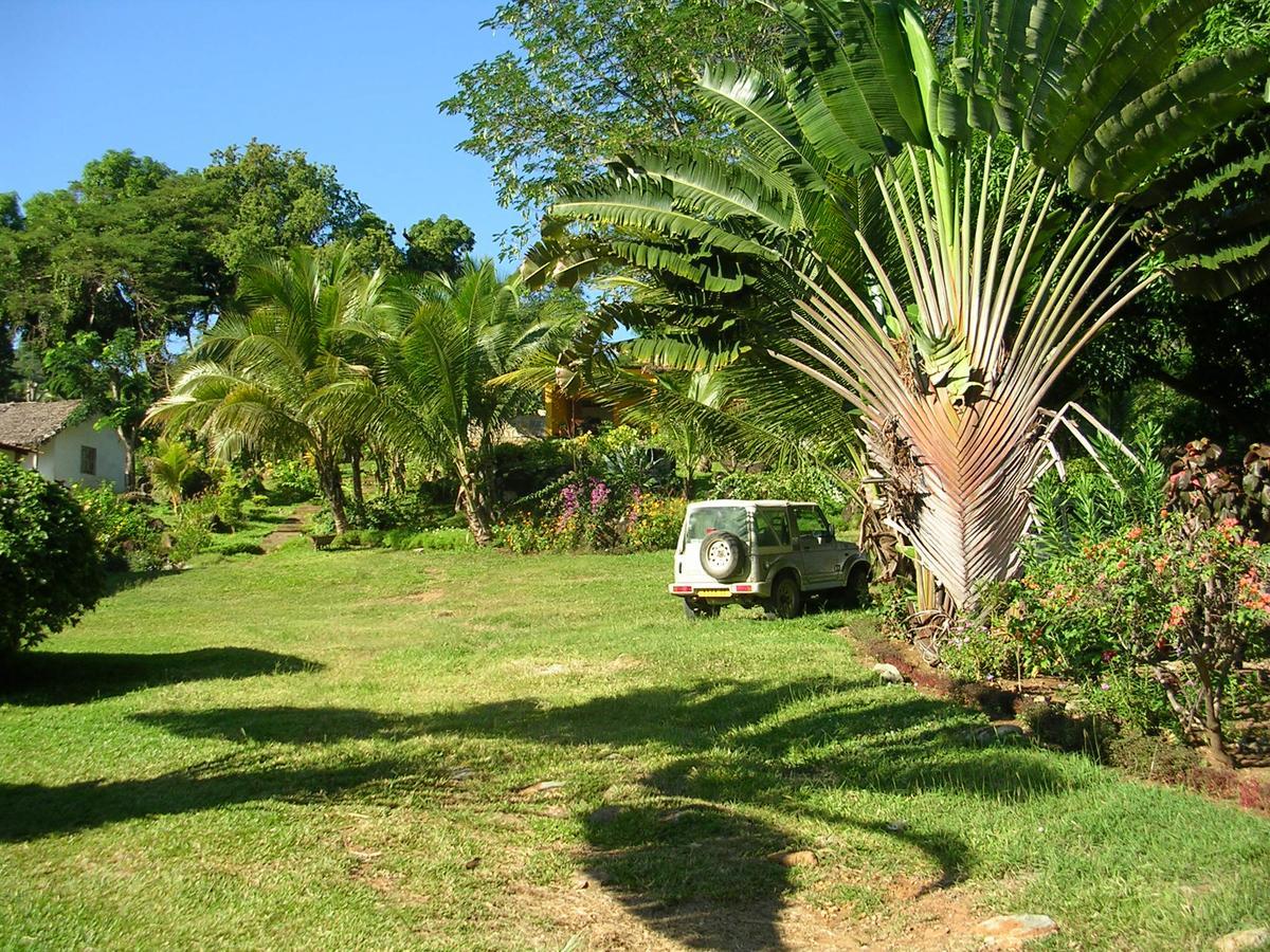 Les Jardins D'Ankify Bed and Breakfast Andimaka Exteriör bild