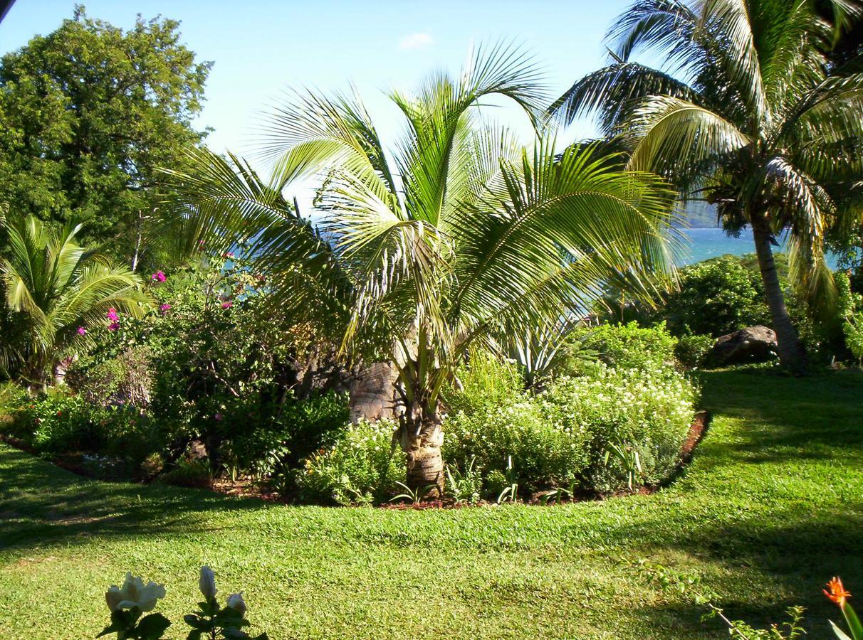 Les Jardins D'Ankify Bed and Breakfast Andimaka Exteriör bild